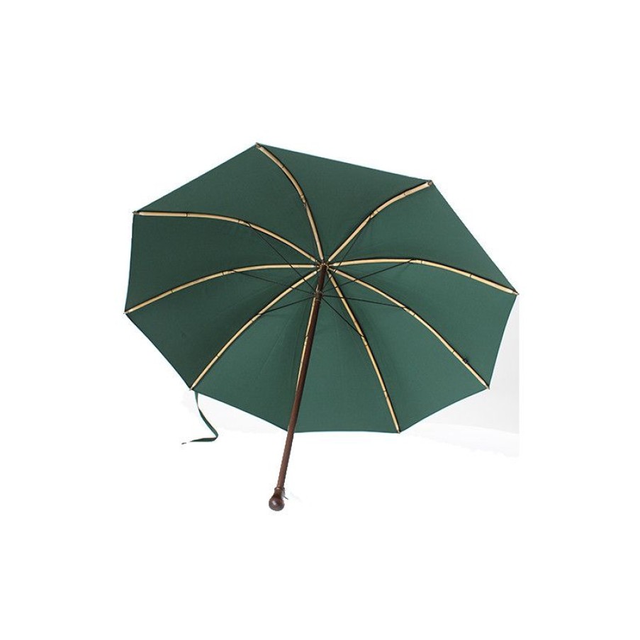 Best Parapluie De Berger Vert De Tradition