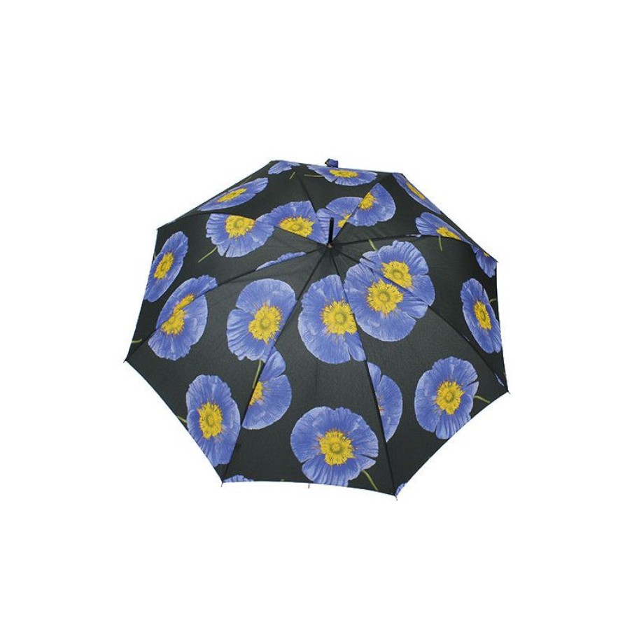 New Parapluie Canne Pierre Cardin Fleurs Dautomne Noir Et Violet