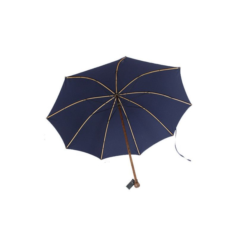 Best Parapluie De Berger Bleu De Tradition