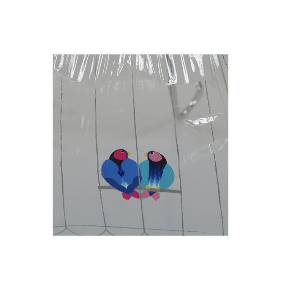 Best Parapluie Transparent Cage A Oiseaux