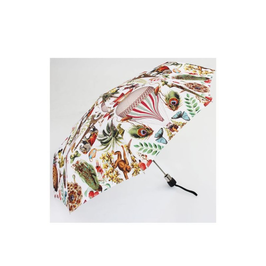 Online Parapluie Pliant De Luxe Fond Blanc